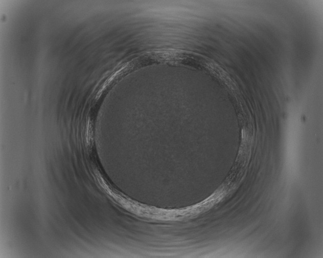 X0000087640048200705031521