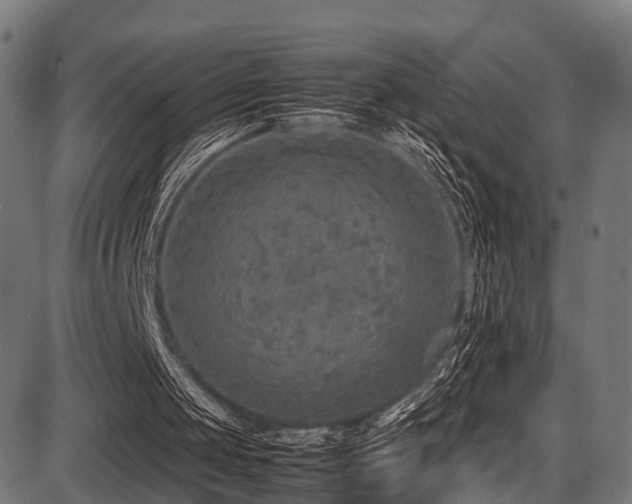 X0000087640049200705031520