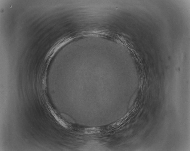 X0000087640050200705031520