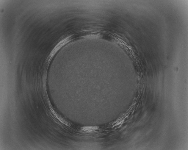 X0000087640051200705031520