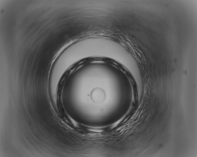 X0000087640052200705031520