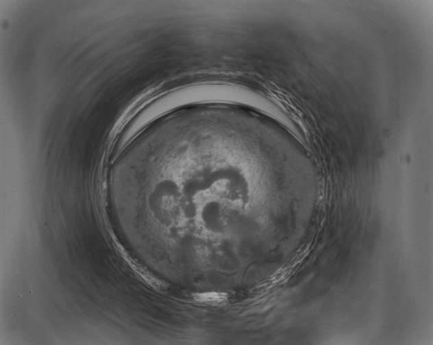 X0000087640053200705031520