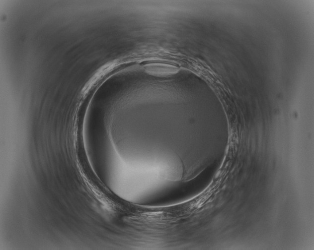 X0000087640054200705031520