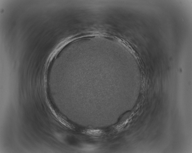 X0000087640055200705031520