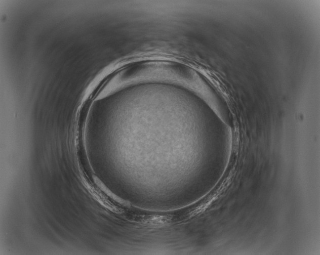 X0000087640056200705031520