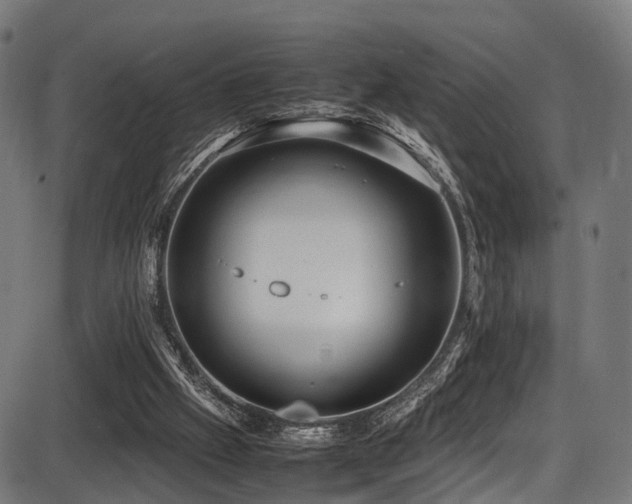 X0000087640057200705031520