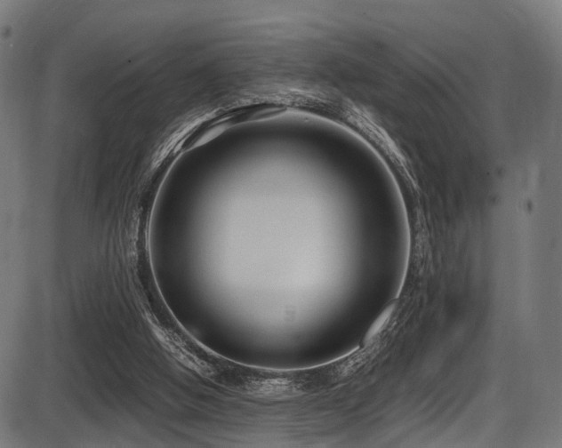 X0000087640058200705031520