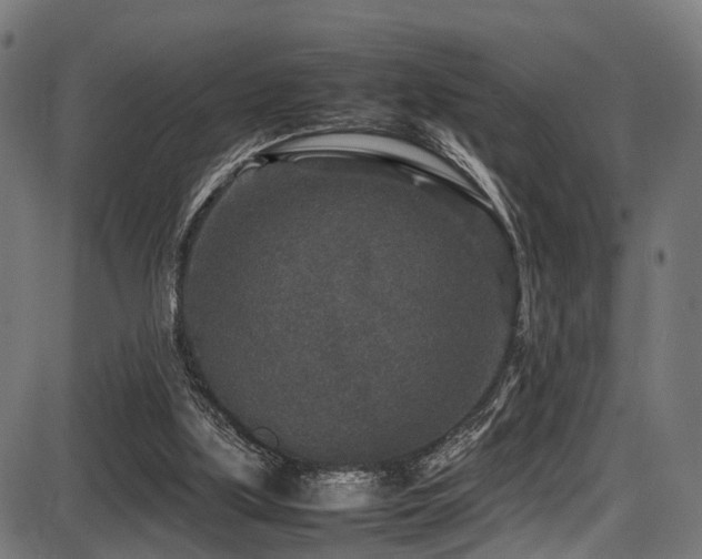 X0000087640059200705031520