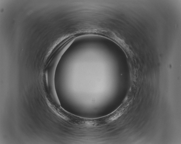 X0000087640060200705031520