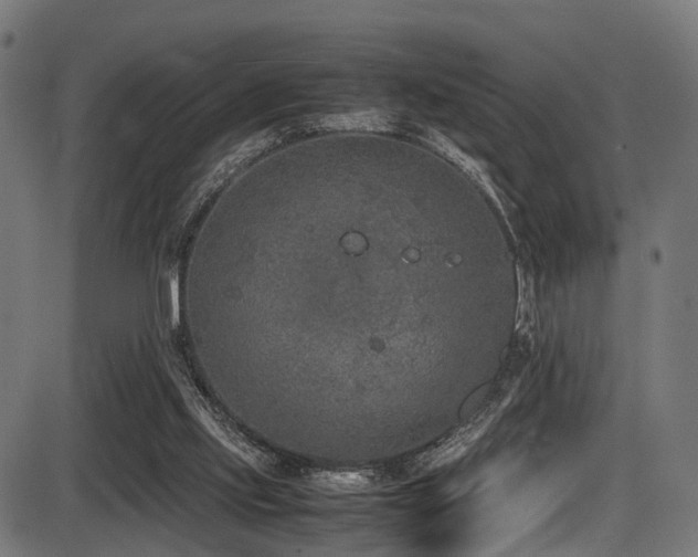 X0000087640061200705031520