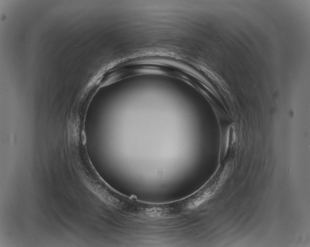 X0000087640064200705031521