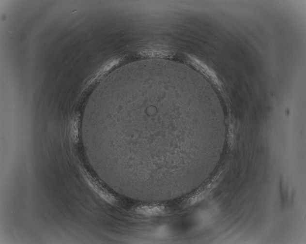 X0000087640065200705031521