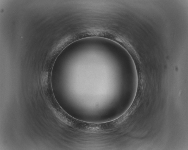 X0000087640066200705031521