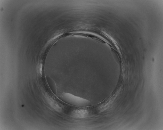 X0000087640067200705031521