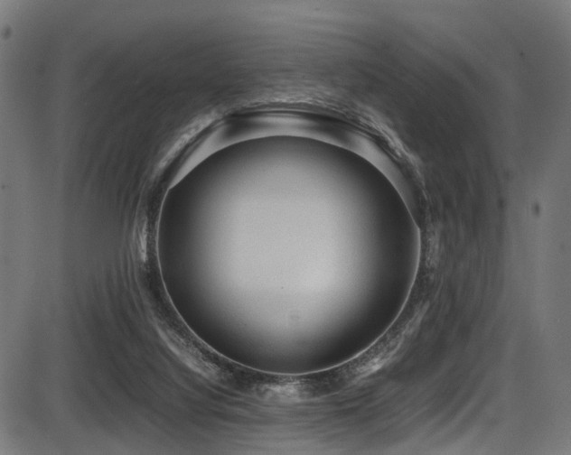 X0000087640068200705031521