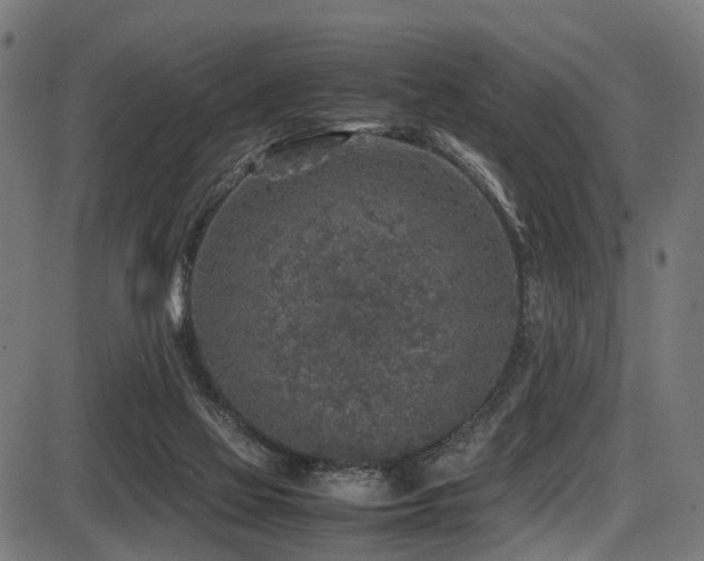 X0000087640069200705031521