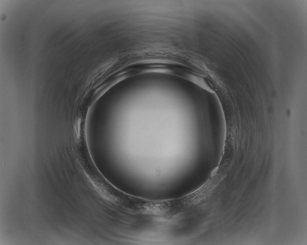 X0000087640070200705031521