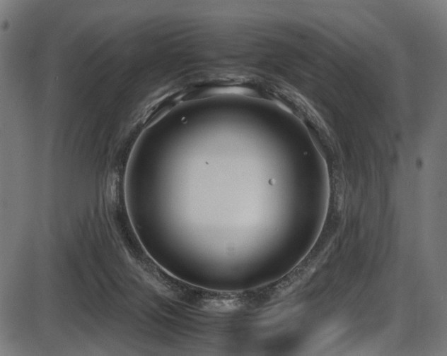 X0000087640071200705031521