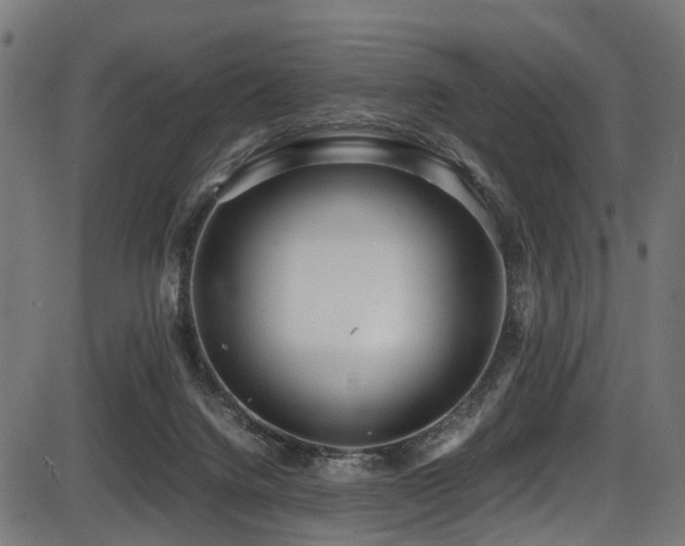 X0000087640072200705031521