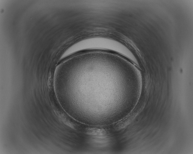 X0000087640073200705031521