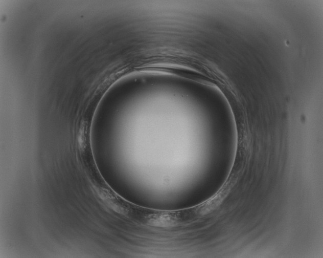 X0000087640074200705031521