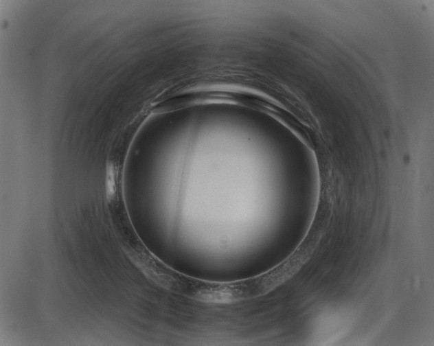 X0000087640075200705031521