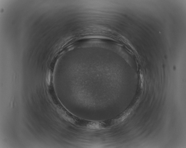 X0000087640076200705031521