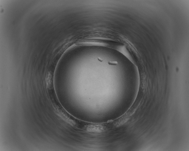 X0000087640077200705031521