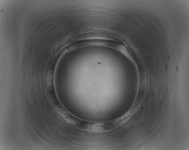 X0000087640078200705031521