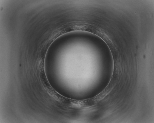 X0000087640079200705031521