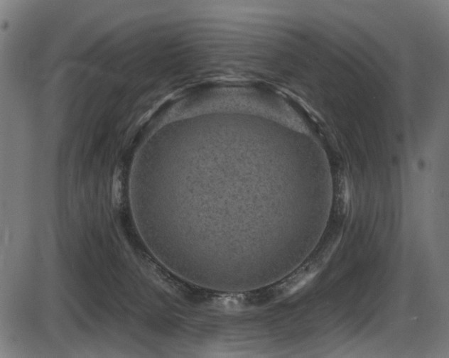 X0000087640080200705031521