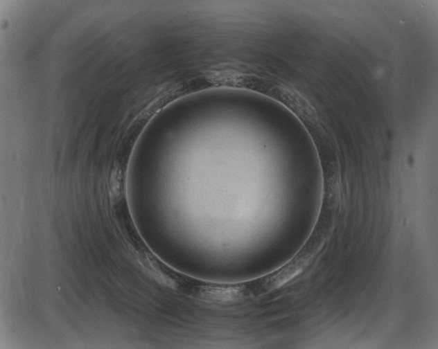 X0000087640081200705031521