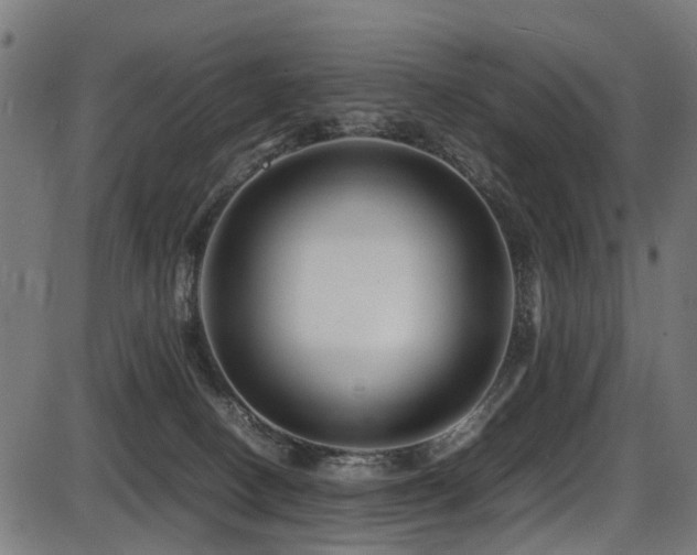 X0000087640082200705031521