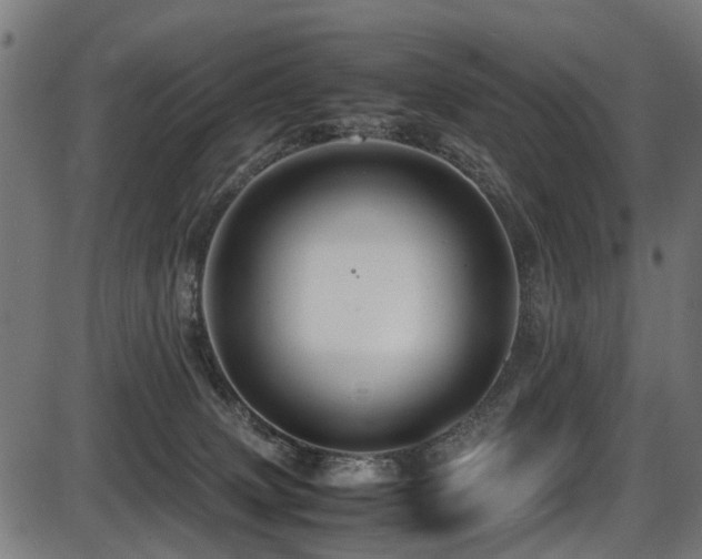 X0000087640083200705031521