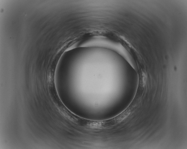 X0000087640084200705031521