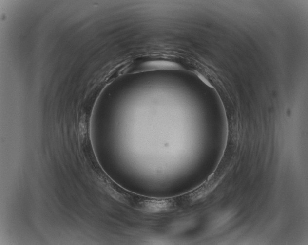 X0000087640085200705031521