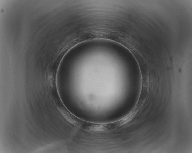 X0000087640086200705031521