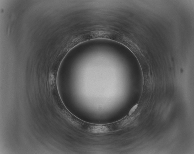 X0000087640087200705031521