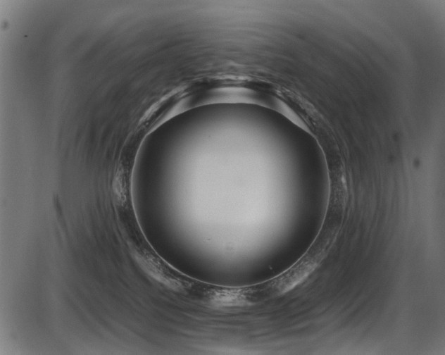 X0000087640088200705031521