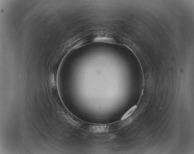 X0000087640089200705031521