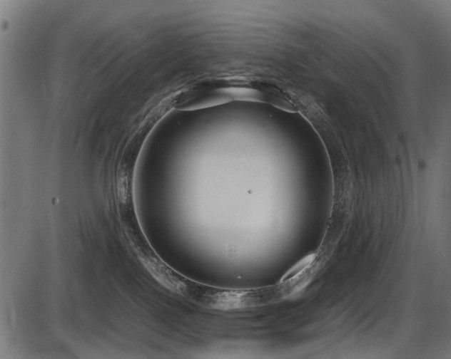 X0000087640090200705031521