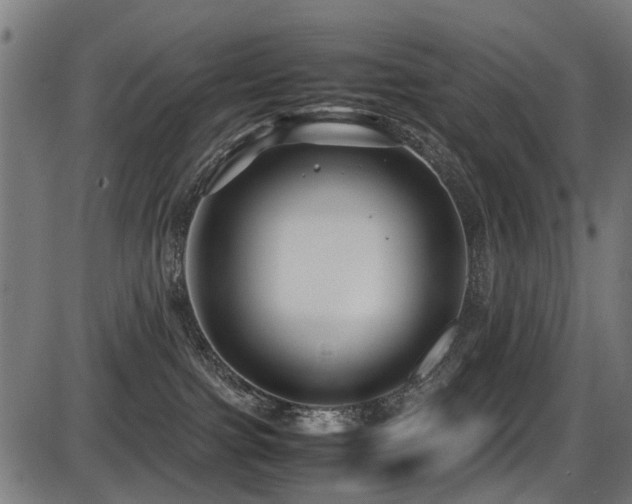 X0000087640091200705031521