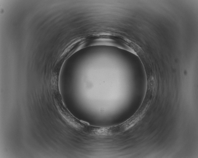 X0000087640092200705031521