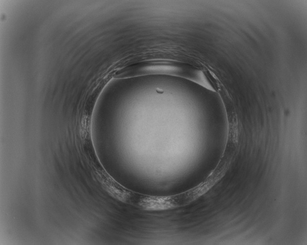 X0000087640093200705031521