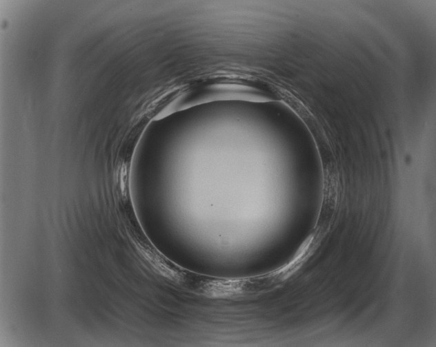 X0000087640094200705031521