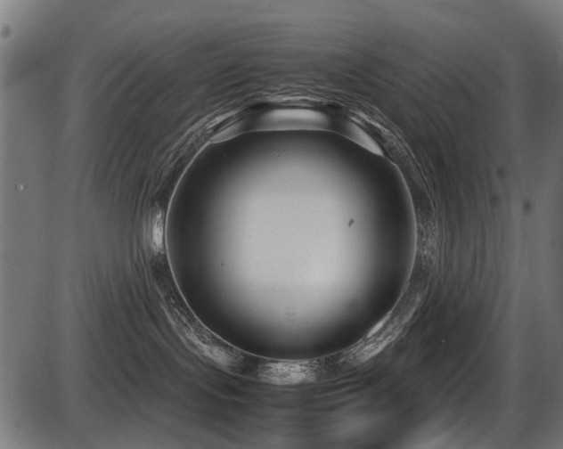 X0000087640095200705031521