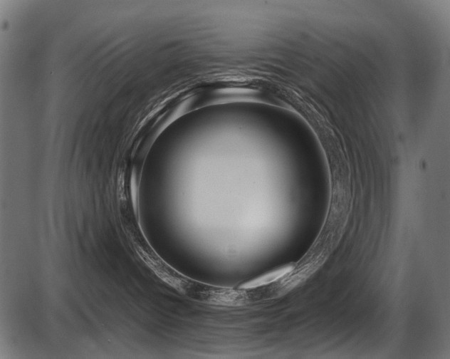 X0000087640096200705031521