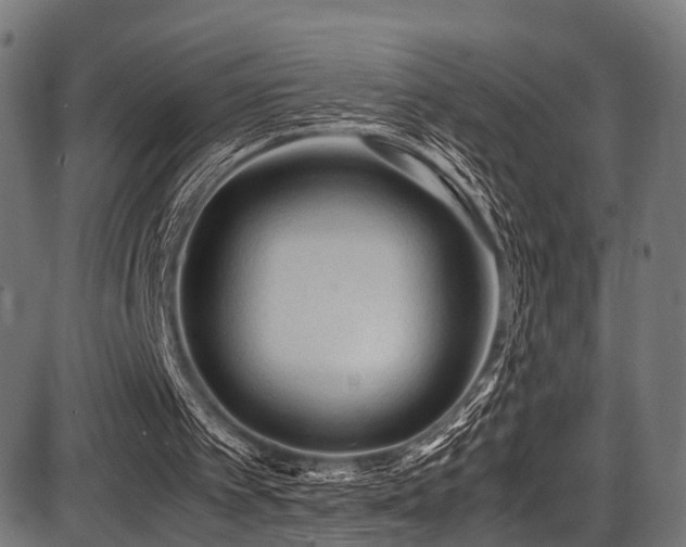 X0000087640097200705031520