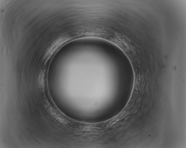 X0000087640098200705031520