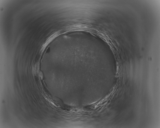 X0000087640099200705031520